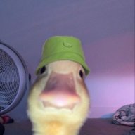 Jxrdan